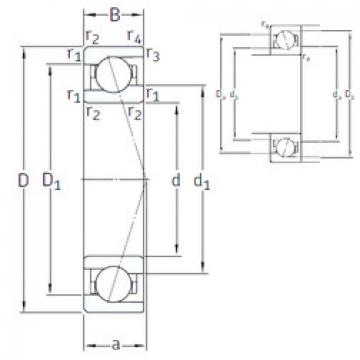 Bearing VEB 50 7CE1 SNFA