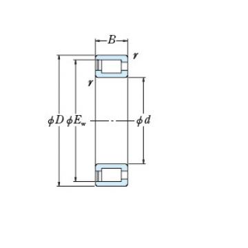 Bearing RS-5024