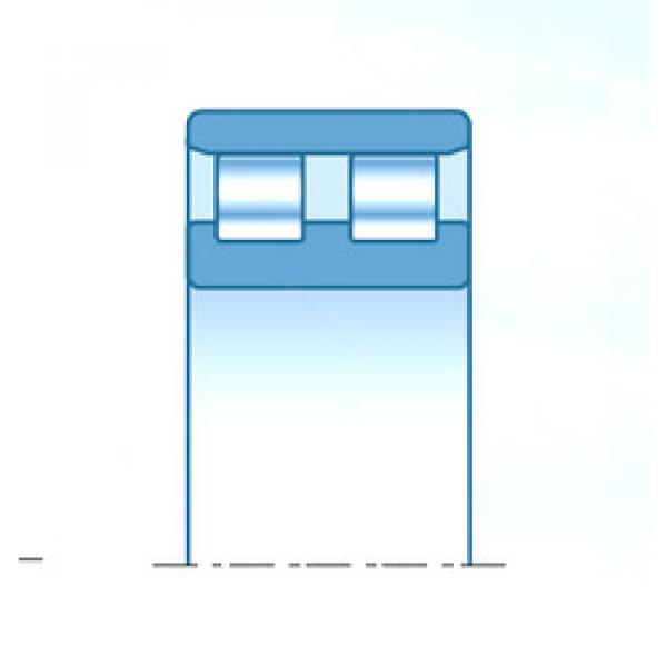 Bearing NNF38/560C1NAP4 NTN #1 image