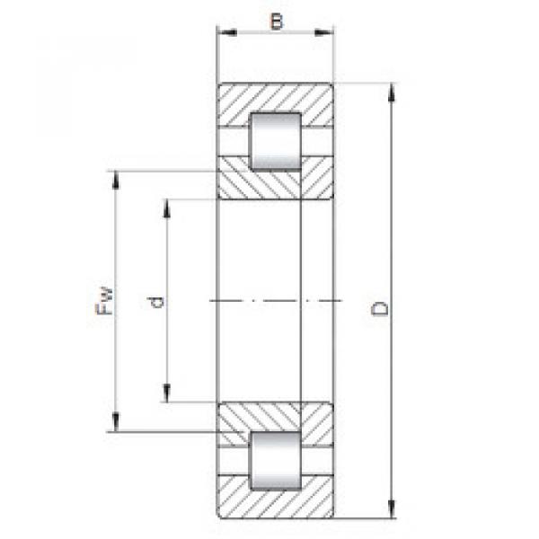 Bearing NUP244 E CX #1 image