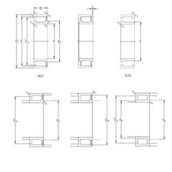 Bearing NCF1864V SKF #1 image