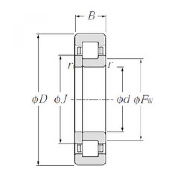 Bearing NUP244 NTN #1 image